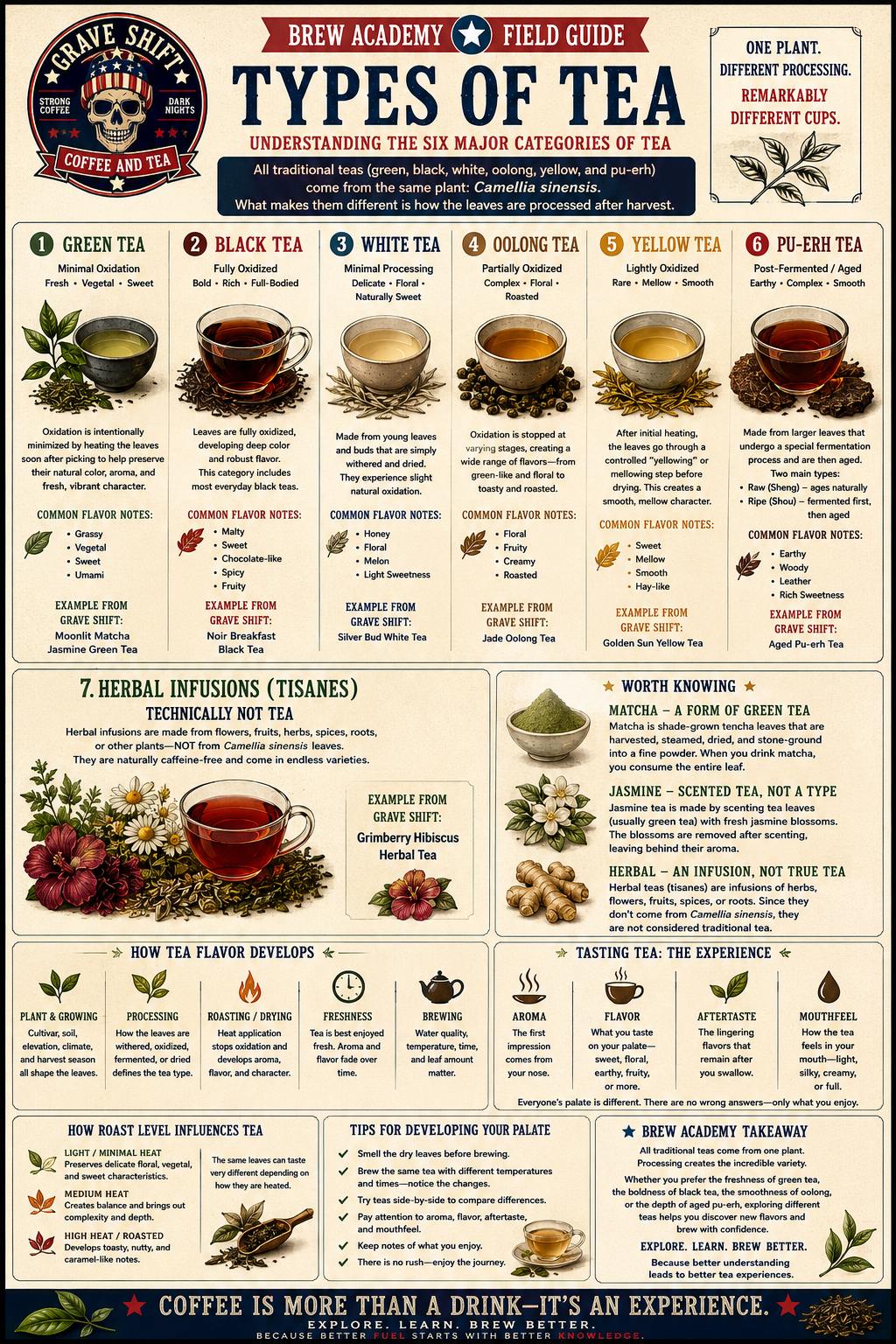 What Is Tea? The Origins, Types, and Science Behind Every Cup
